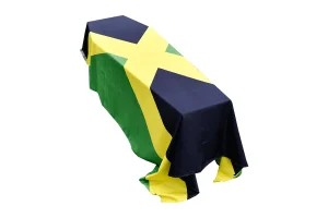 Standard Coffin Drapes