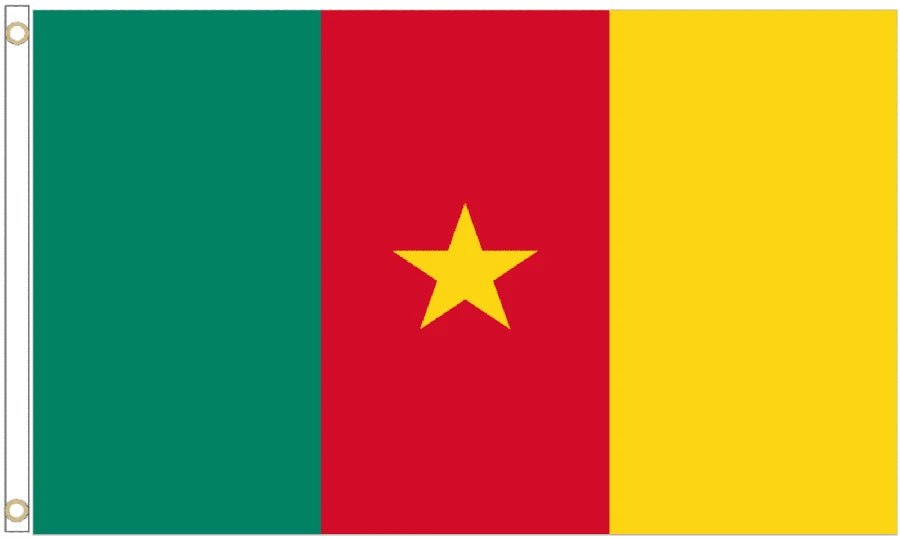 Cameroon Coffin Drape image 4