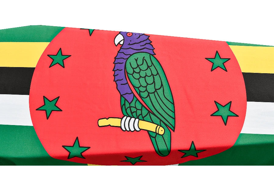 Dominica Coffin Drape image 2