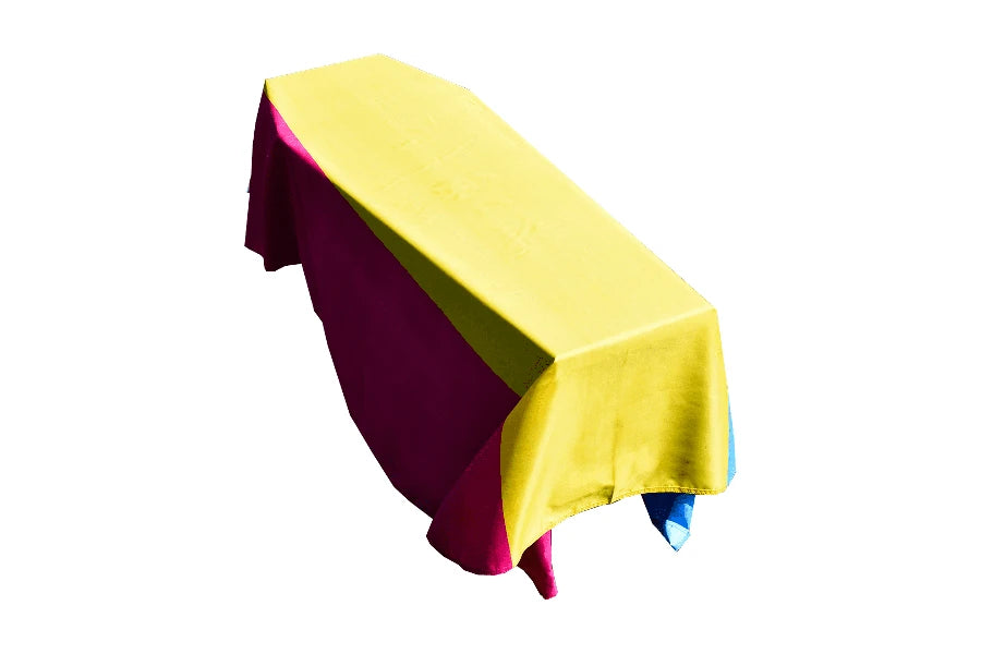 Pansexual Pride Coffin Drape image 0