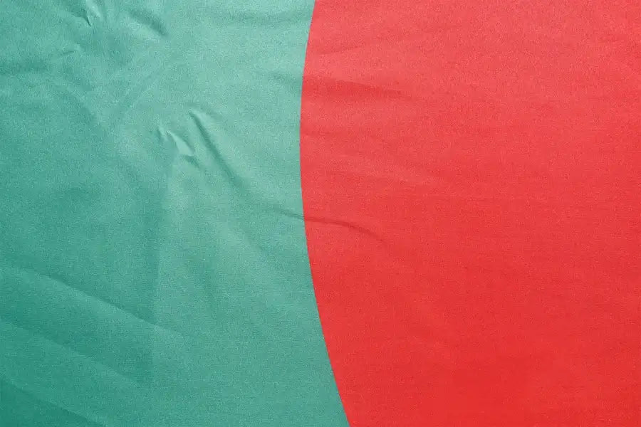Bangladesh Coffin Drape image 2