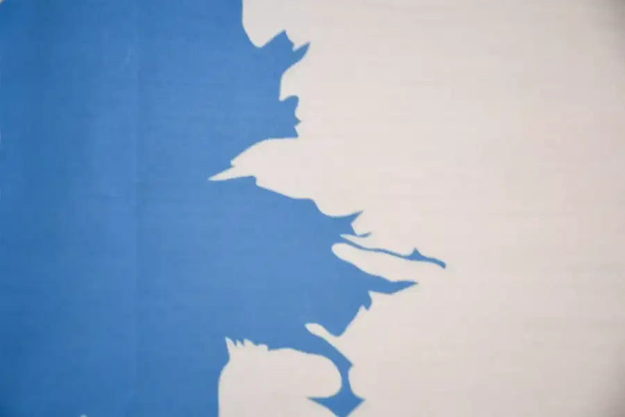 United Nations Coffin Drape image 3