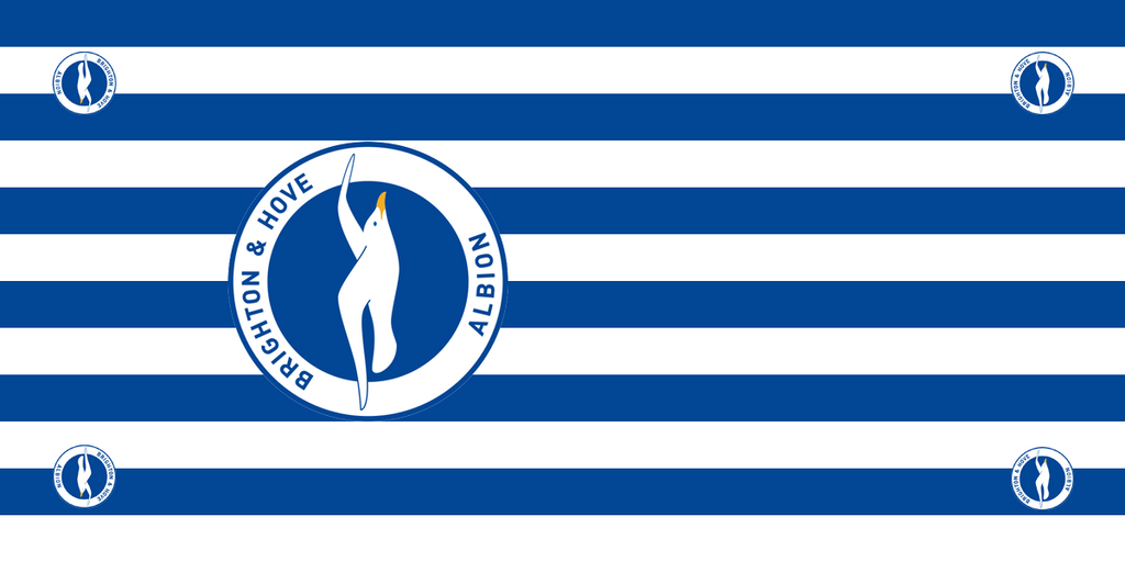 Brighton and Hove Albion Football Premium Coffin Drape image 1