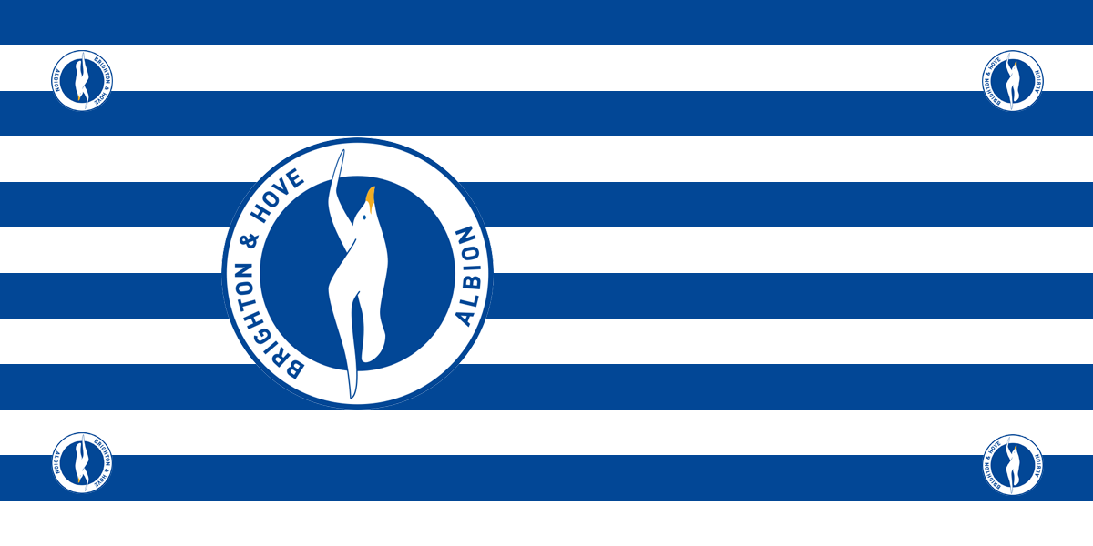 Brighton and Hove Albion Football Premium Coffin Drape image 1