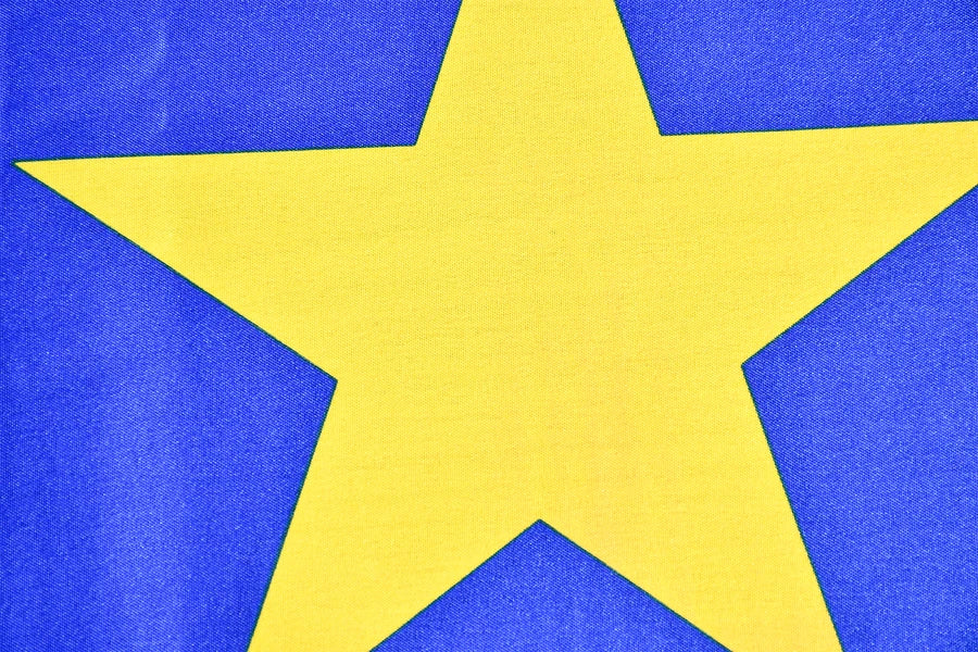 European Union Coffin Drape image 3