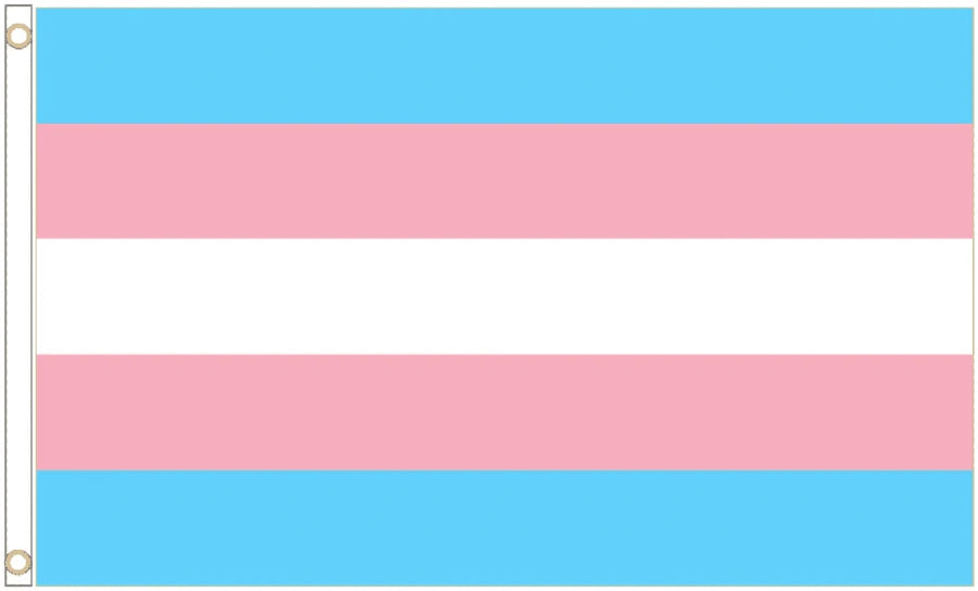 Transgender Pride Coffin Drape image 4
