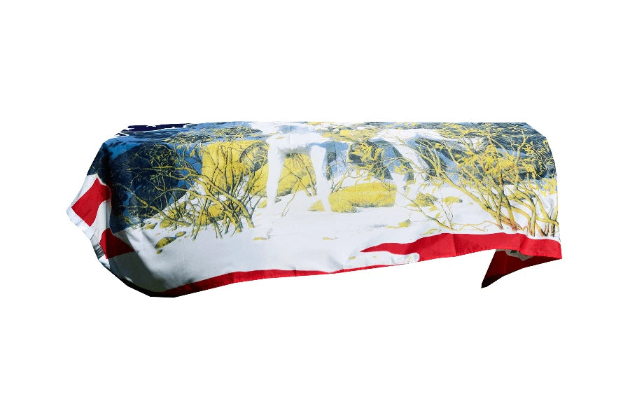 American Indian Coffin Drape image 1