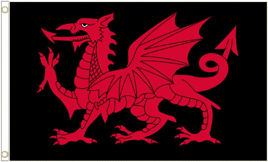 Wales Black Coffin Drape image 4