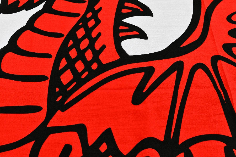 Wales Coffin Drape image 3