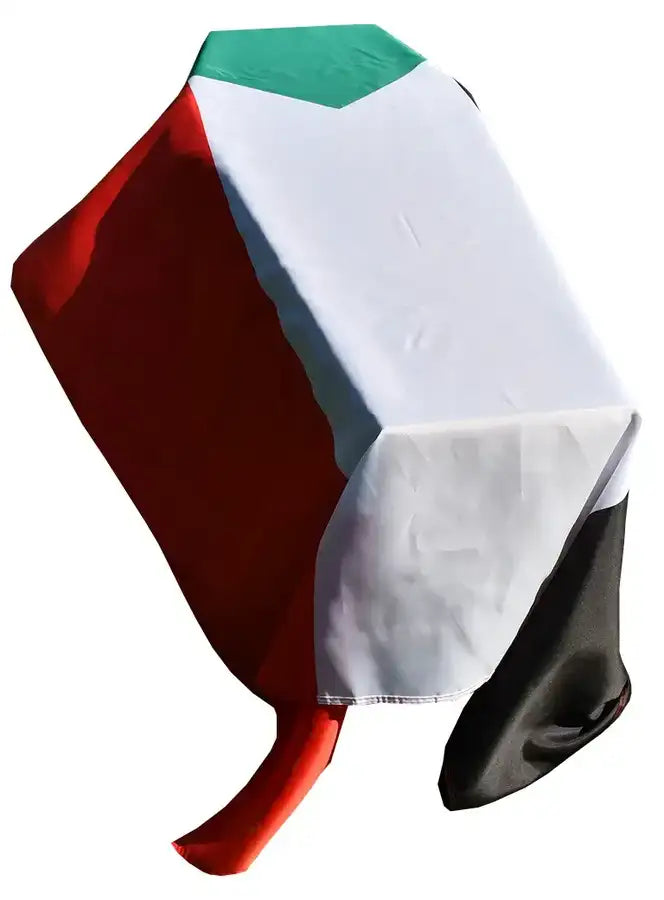 Sudan Coffin Drape image 0
