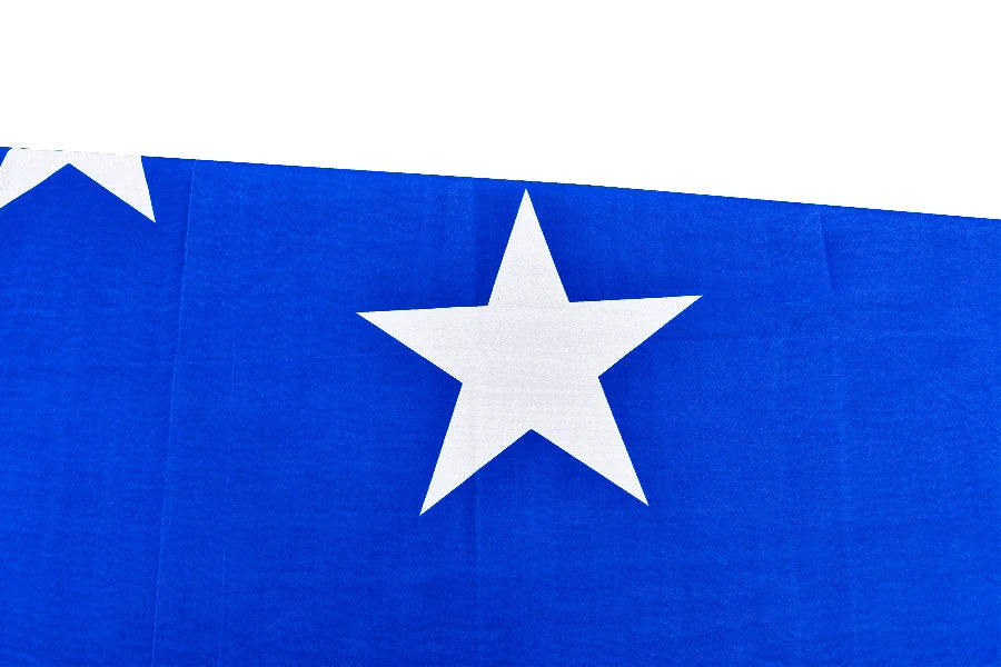 Starry Plough Coffin Drape image 2