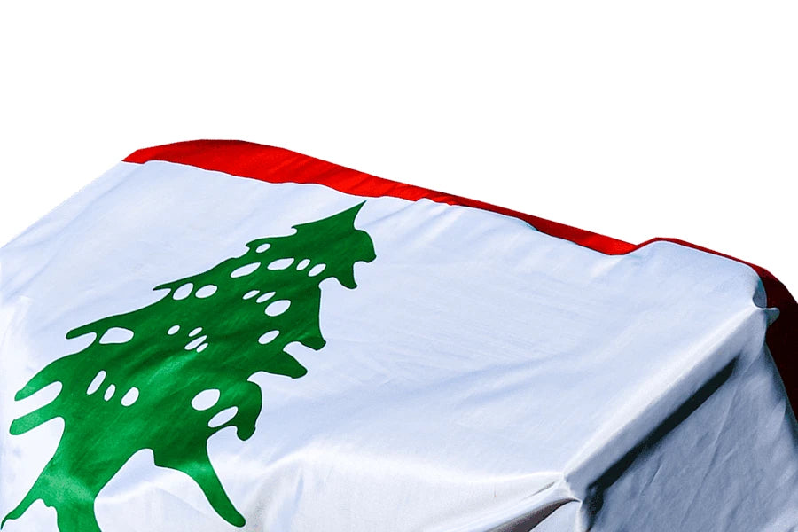 Lebanon Coffin Drape image 2