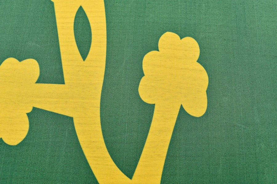 Erin Go Bragh Coffin Drape image 3