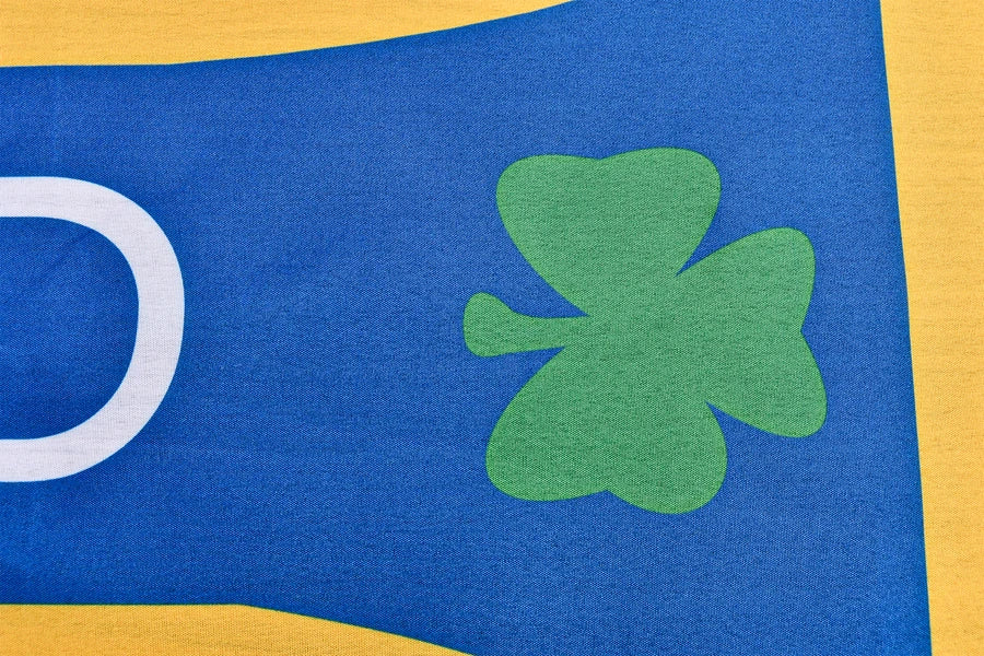 Northern Ireland Football Coffin Drape image 3
