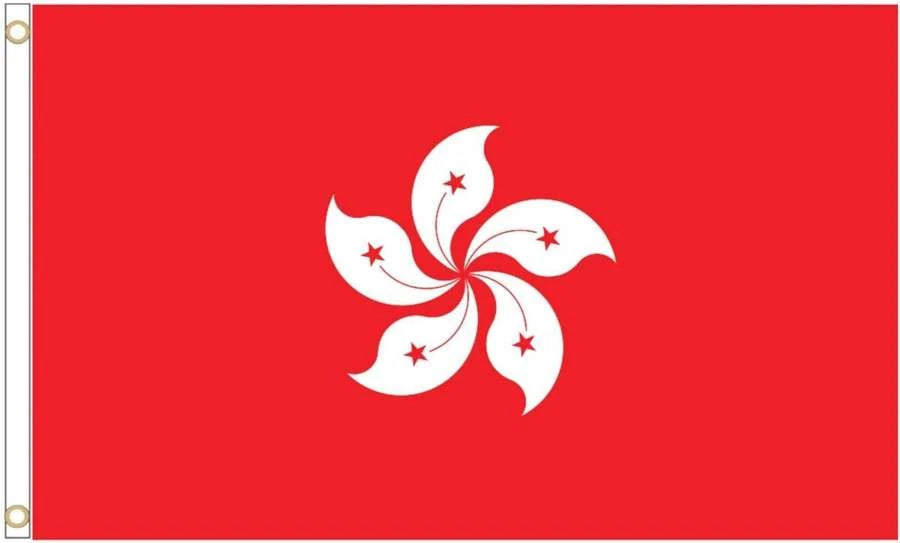 Hong Kong Coffin Drape image 4