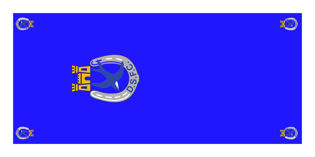 Dungannon Swifts Football Premium Coffin Drape image 1
