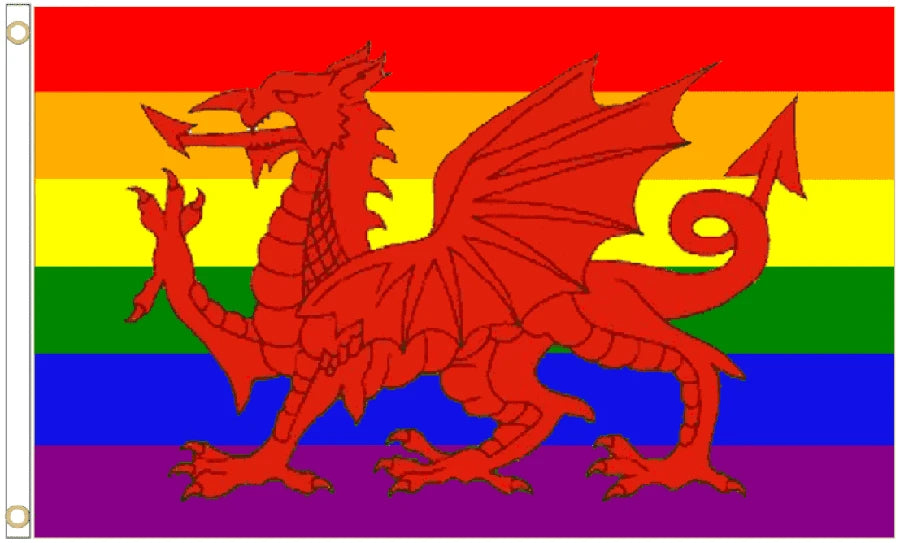 Rainbow LGBTQ Pride Wales Coffin Drape image 4