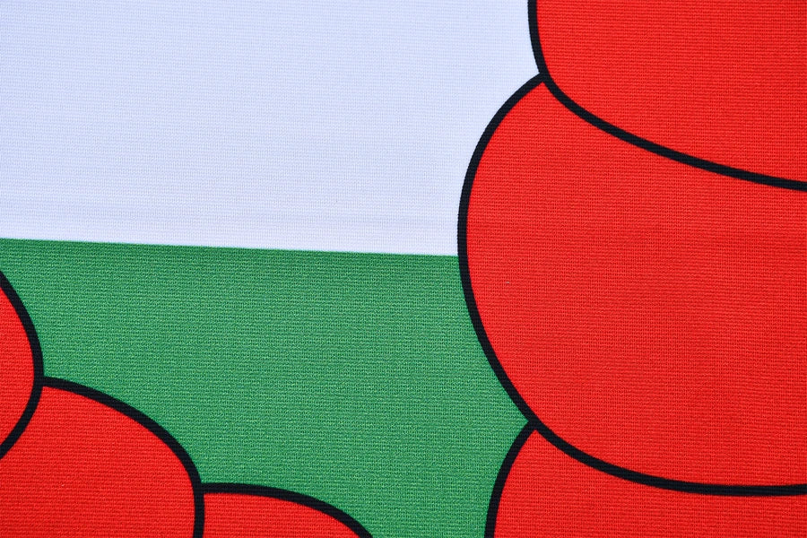 Wales Premium Coffin Drape image 4