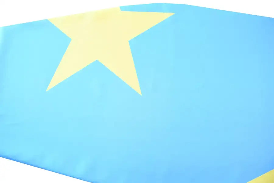 DR Congo Coffin Drape image 2