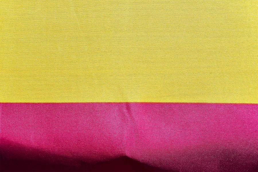 Pansexual Pride Coffin Drape image 3
