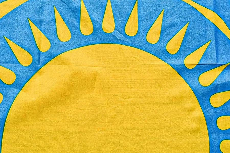 Kazakhstan Coffin Drape image 3