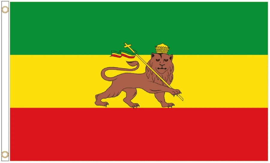 Ethiopia Lion of Judah Coffin Drape image 4