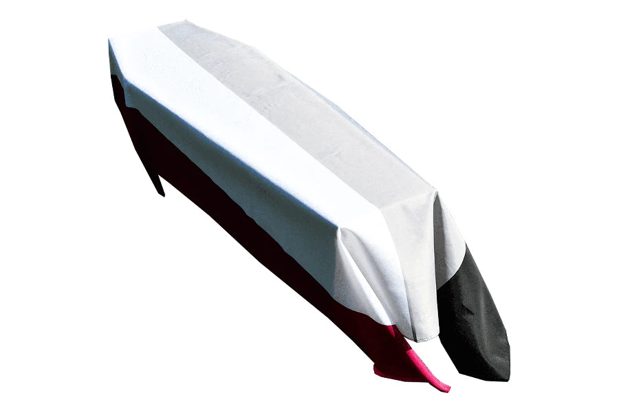 Asexual Pride Coffin Drape image 0