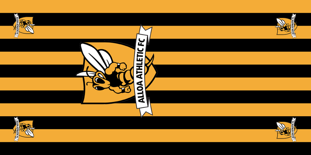 Alloa Athletic Football Premium Coffin Drape image 1