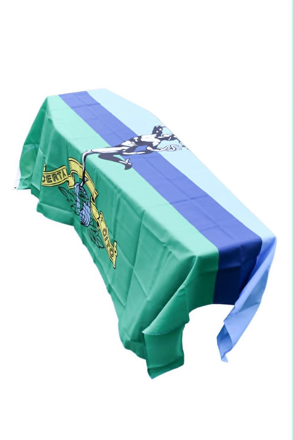 Royal Signals Coffin Drape image 1