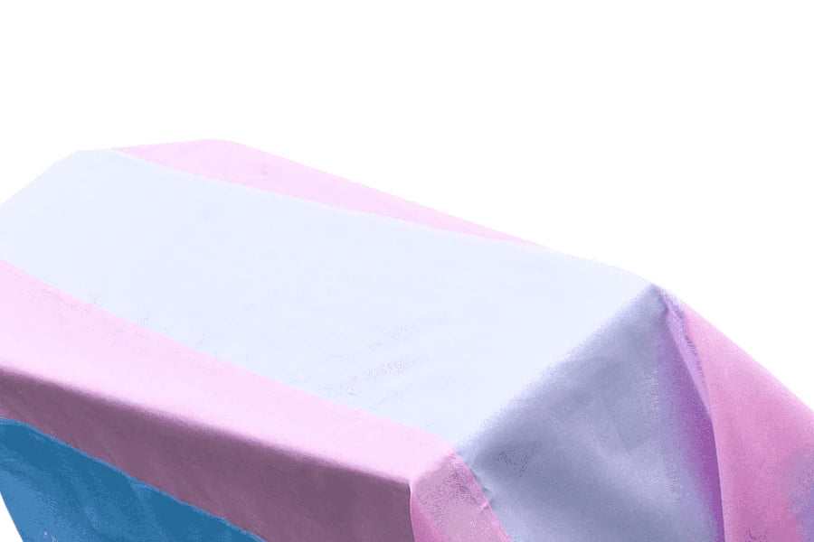 Transgender Pride Coffin Drape image 2