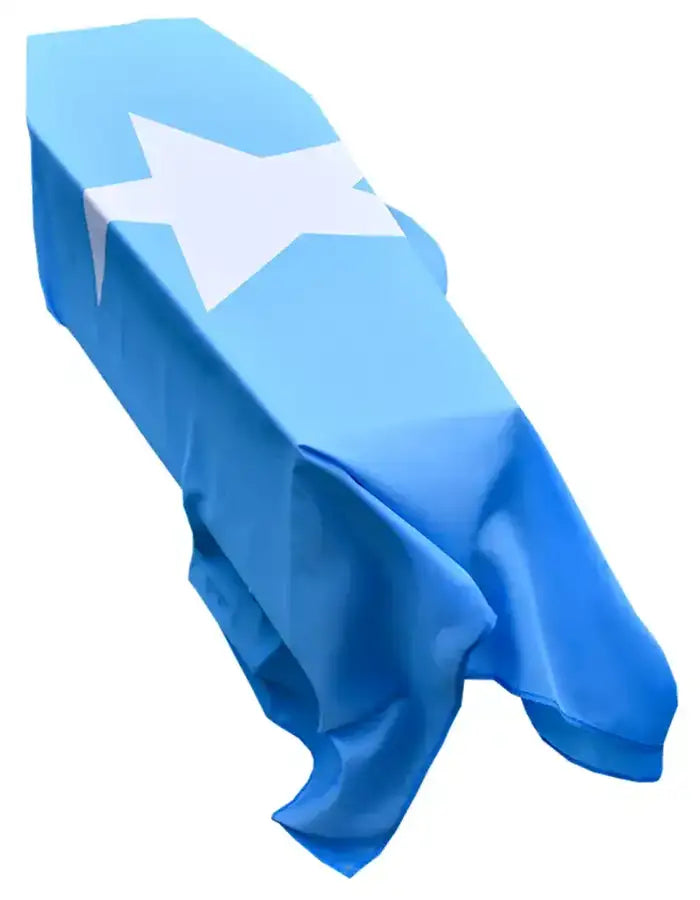 Somalia Coffin Drape image 0