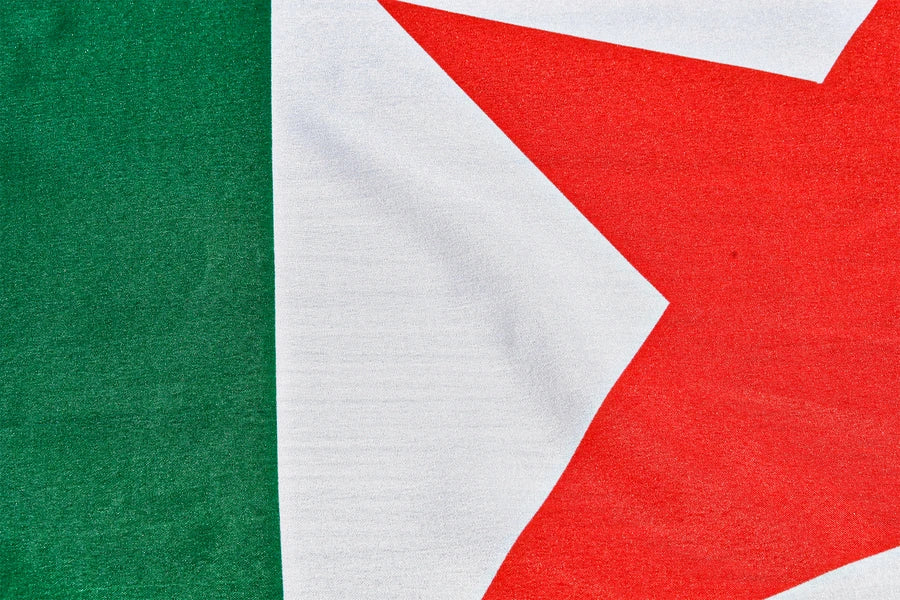 Algeria Coffin Drape image 3