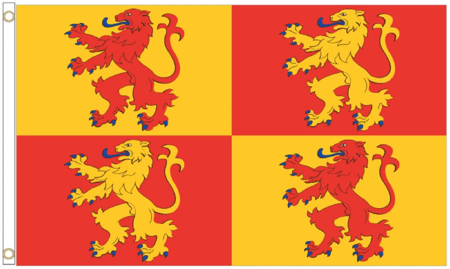 Owain Glyndwr Coffin Drape image 4