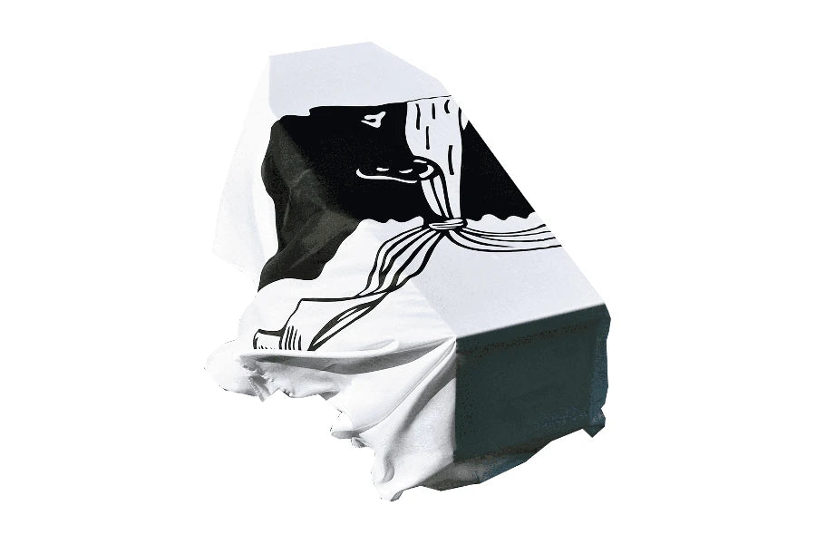 Corsica Coffin Drape image 0