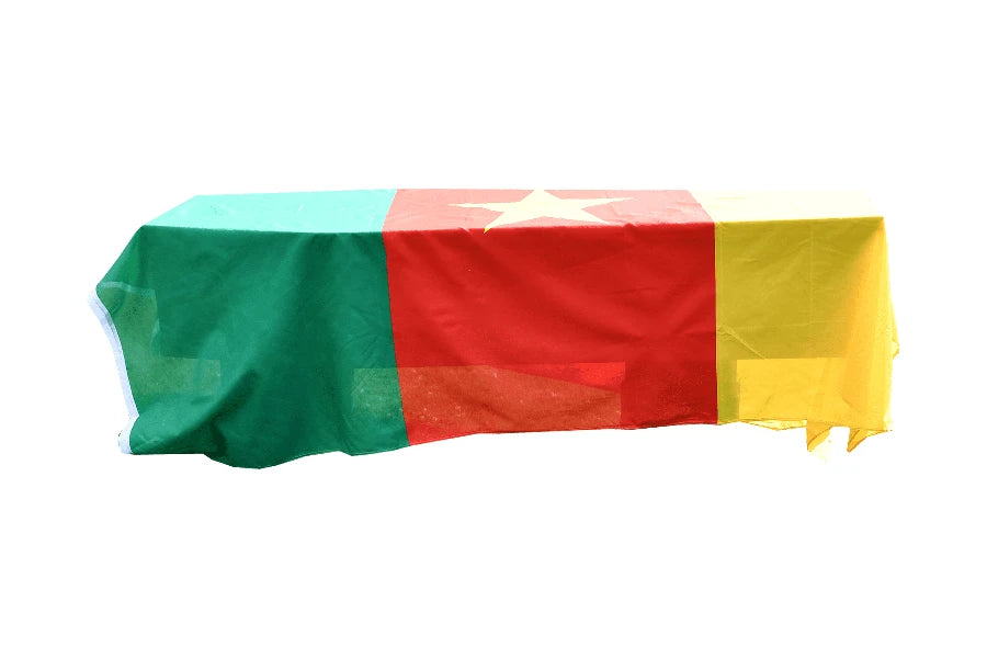 Cameroon Coffin Drape image 1