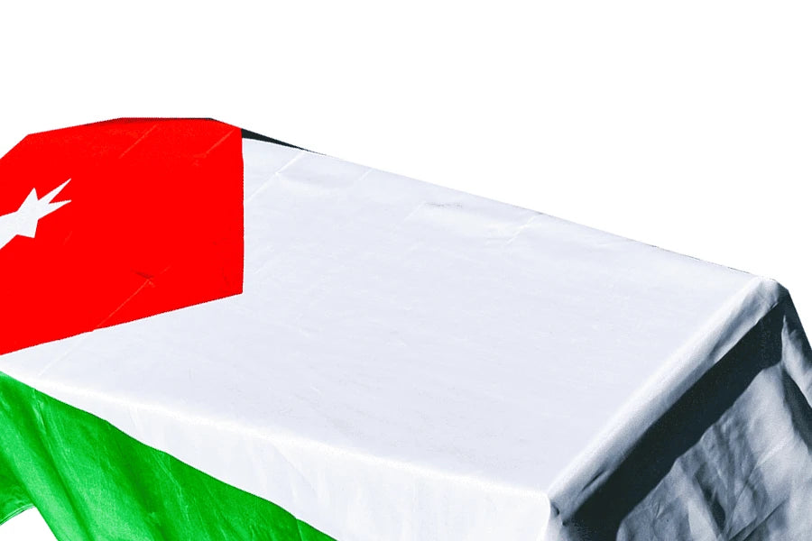 Jordan Coffin Drape image 2
