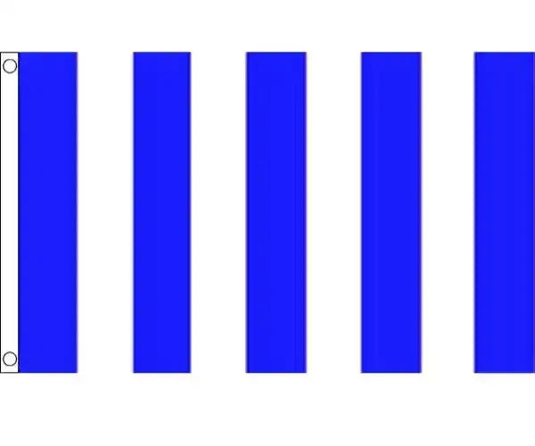 Blue and White Striped Coffin Drape image 3