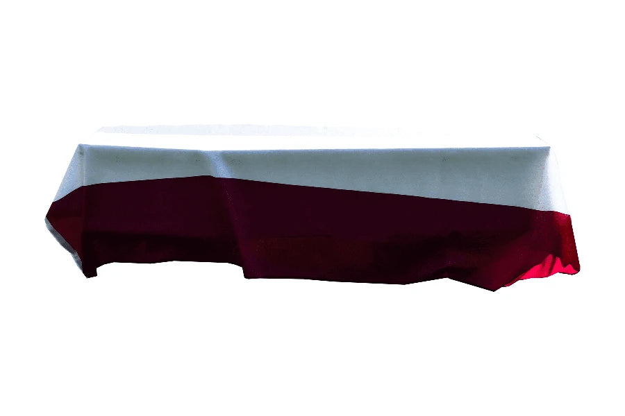 Asexual Pride Coffin Drape image 1
