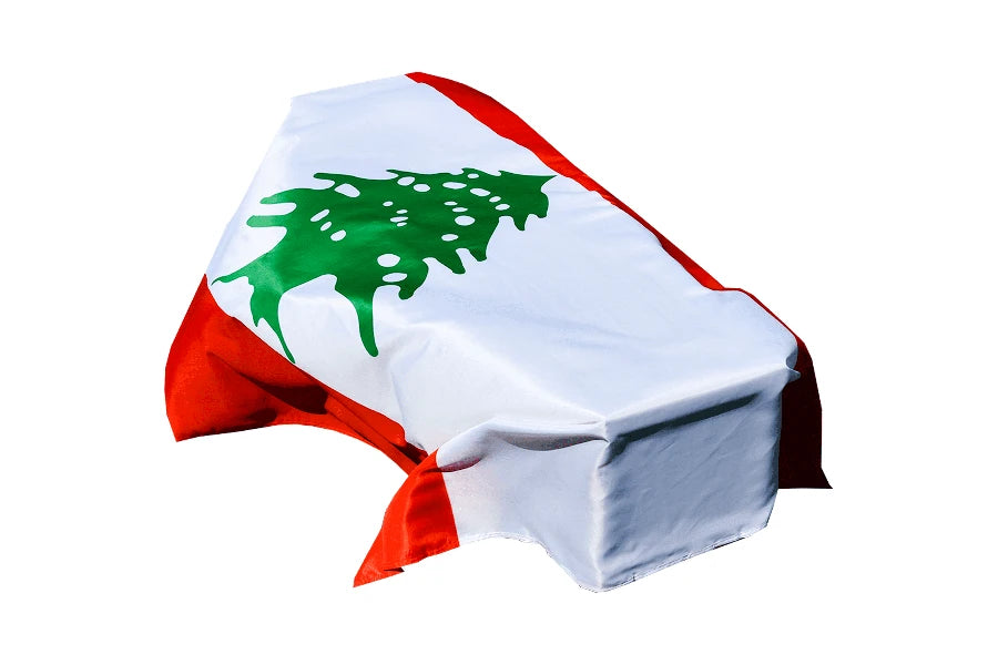 Lebanon Coffin Drape image 0