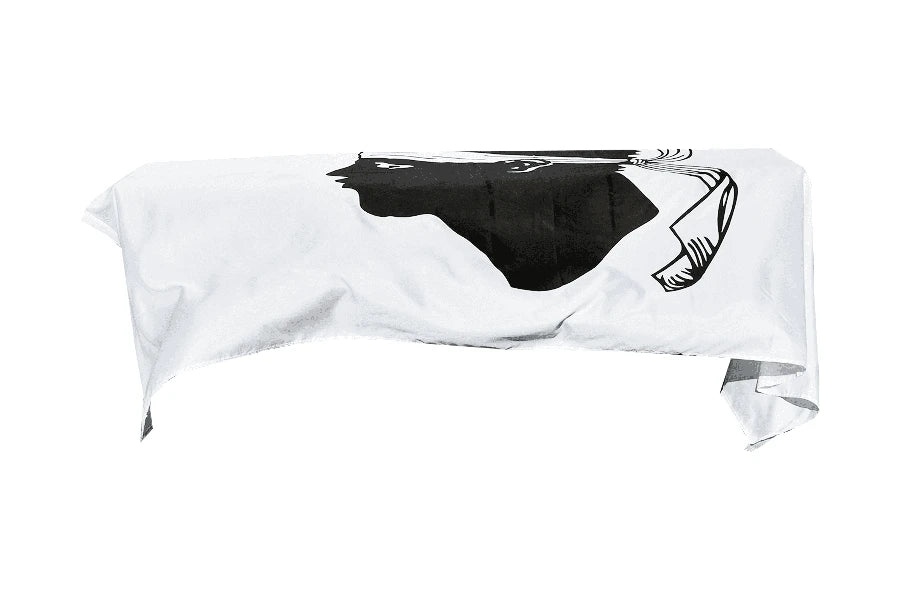 Corsica Coffin Drape image 1