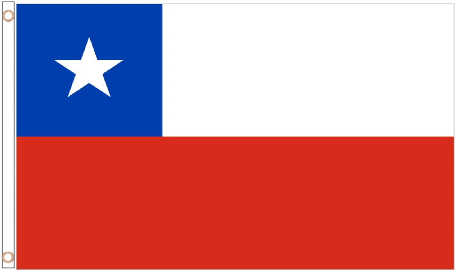 Chile Coffin Drape image 4