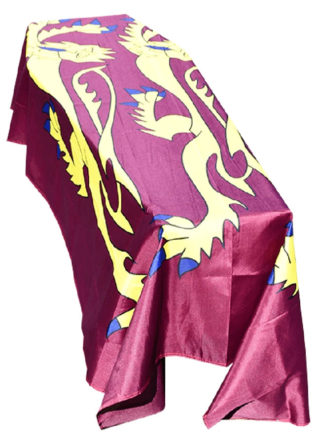 Richard The Lionheart Coffin Drape image 0