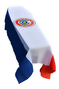 Paraguay Coffin Drape image 0
