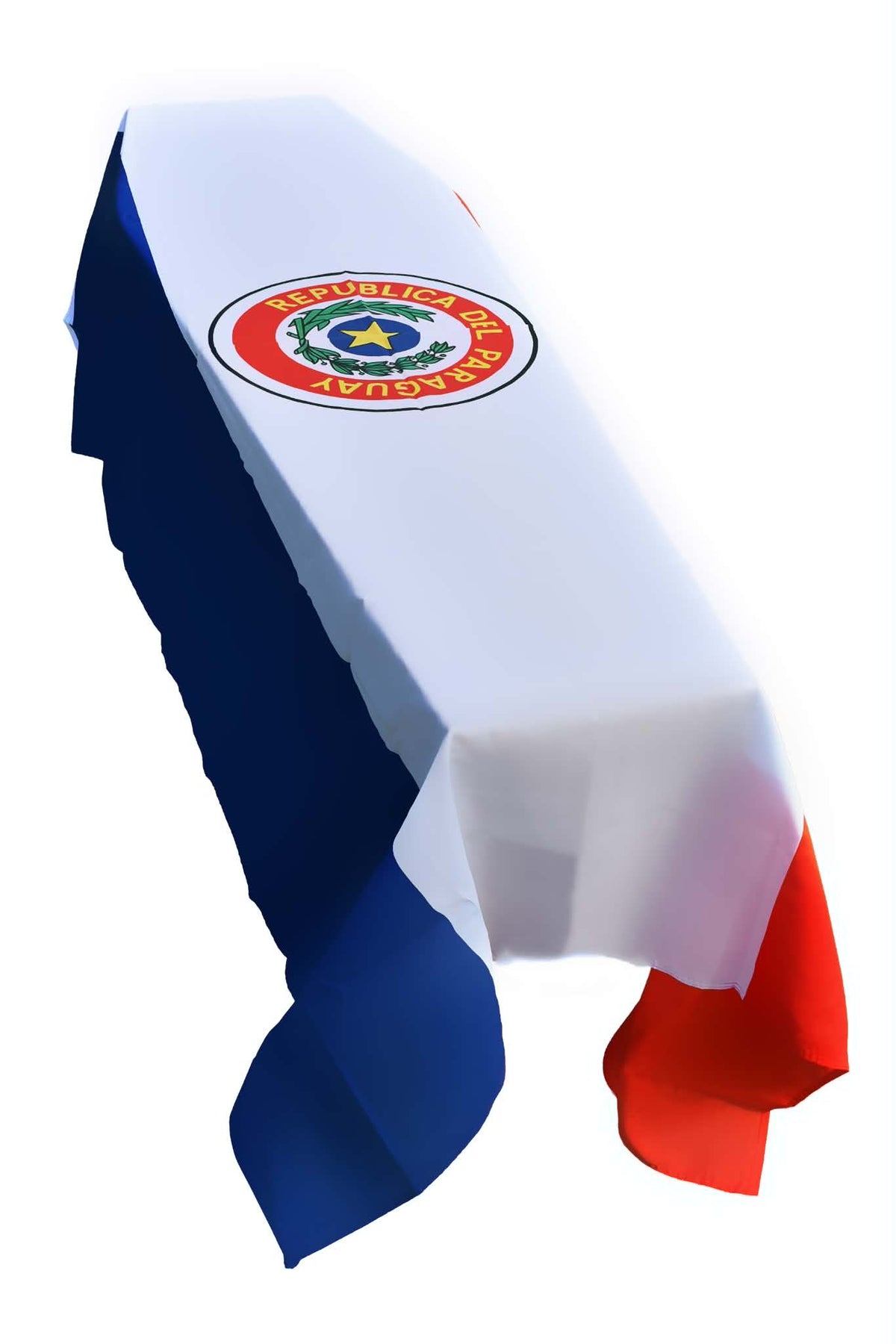 Paraguay Coffin Drape image 0