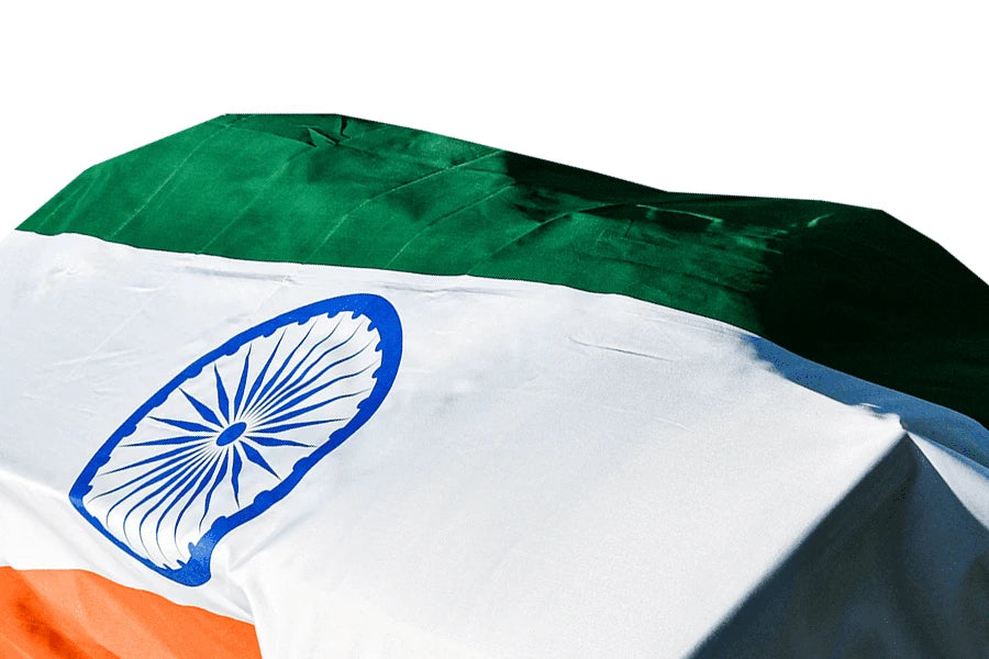 India Coffin Drape image 2