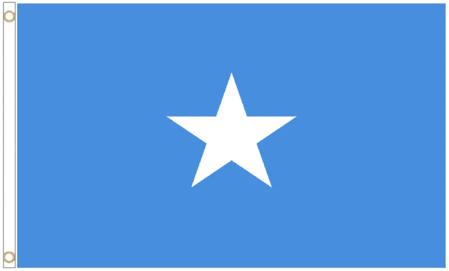 Somalia Coffin Drape image 4