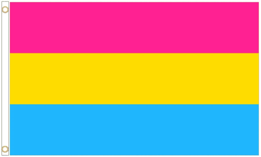 Pansexual Pride Coffin Drape image 4