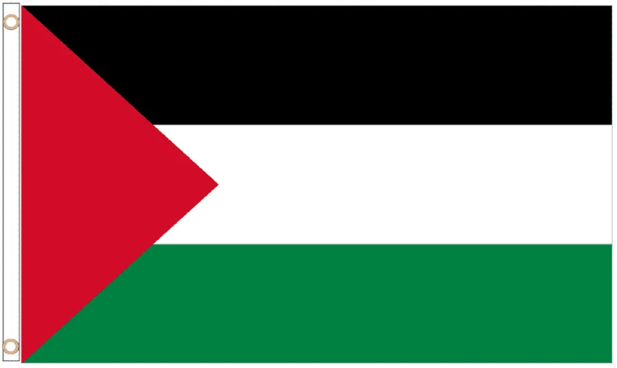 Palestine Coffin Drape image 4