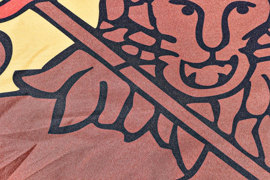 Ethiopia Lion of Judah Coffin Drape image 3