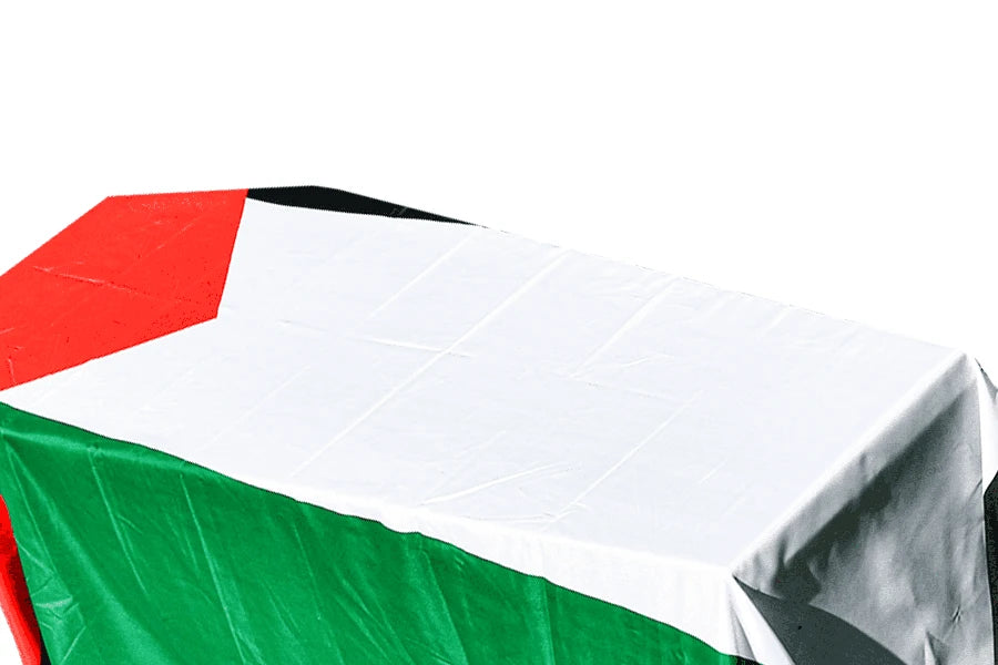 Palestine Coffin Drape image 2